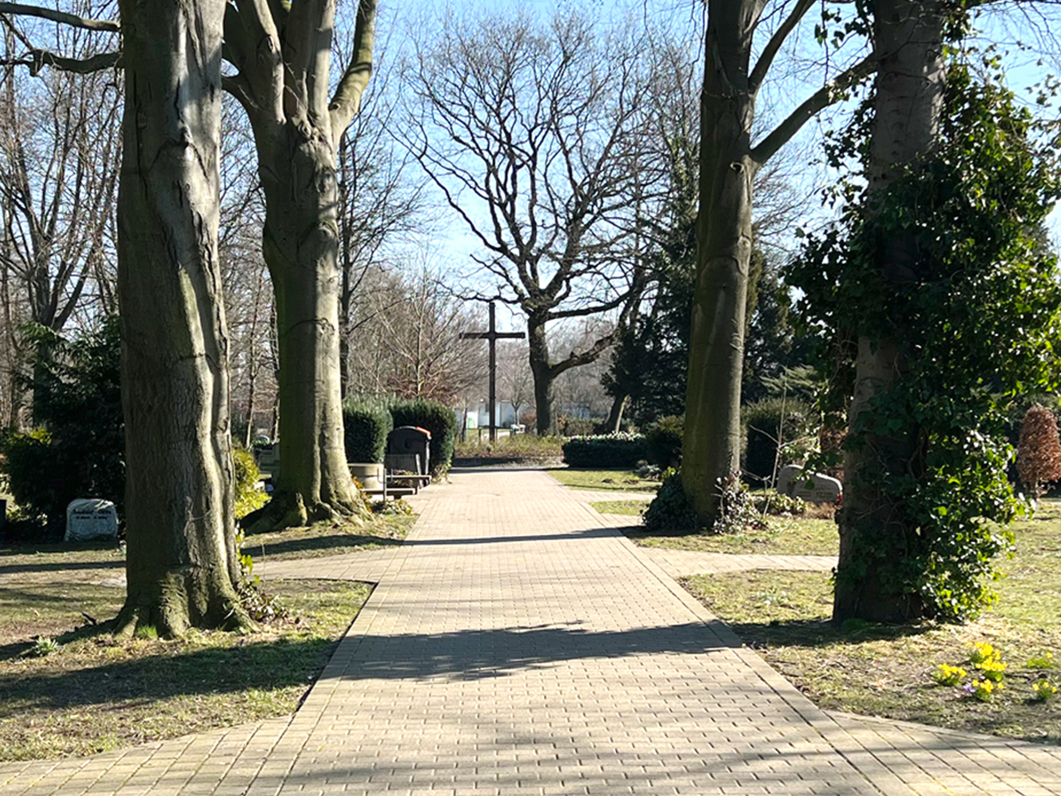 Friedhofsweg mit Bäumen und einem Kreuz im Hintergrund.
