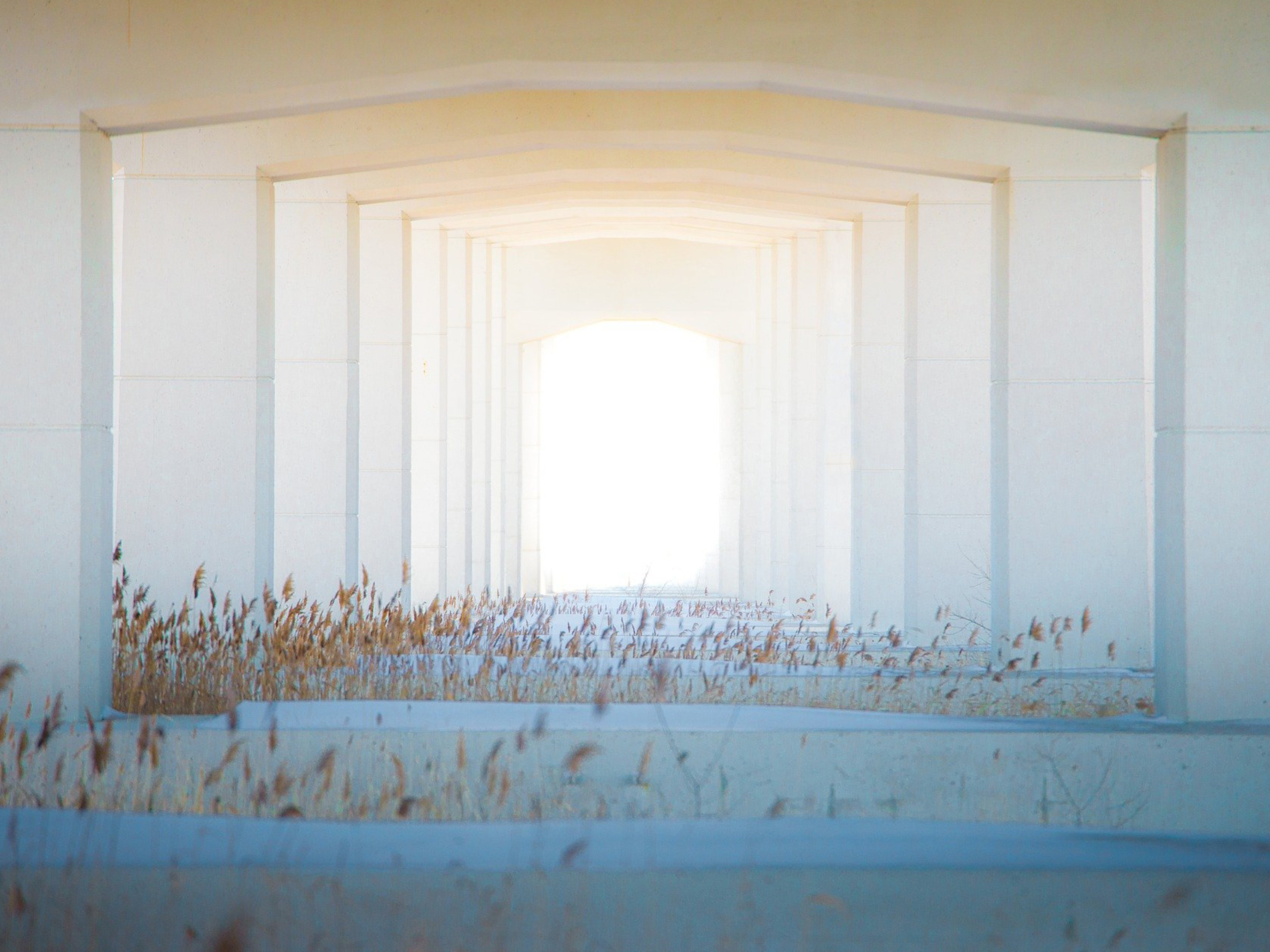 Helle, architektonische Passage mit Pflanzen.